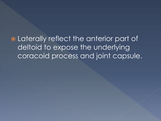  Laterally reflect the anterior part of
deltoid to expose the underlying
coracoid process and joint capsule.
 