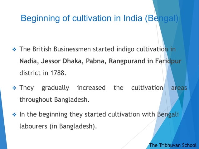 The Demand For Indian Indigo During British Period