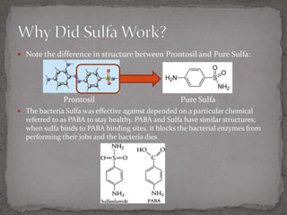 Note the difference in structure between Prontosil and Pure Sulfa:Prontosil			          Pure SulfaThe bacteria Sulfa was effective against depended on a particular chemical referred to as PABA to stay healthy. PABA and Sulfa have similar structures; when sulfa binds to PABA binding sites, it blocks the bacterial enzymes from performing their jobs and the bacteria dies.Why Did Sulfa Work?