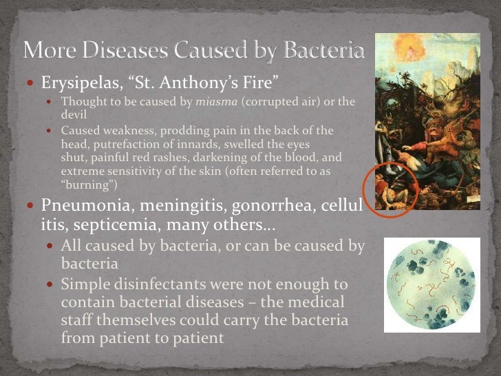 The demon under the microscope