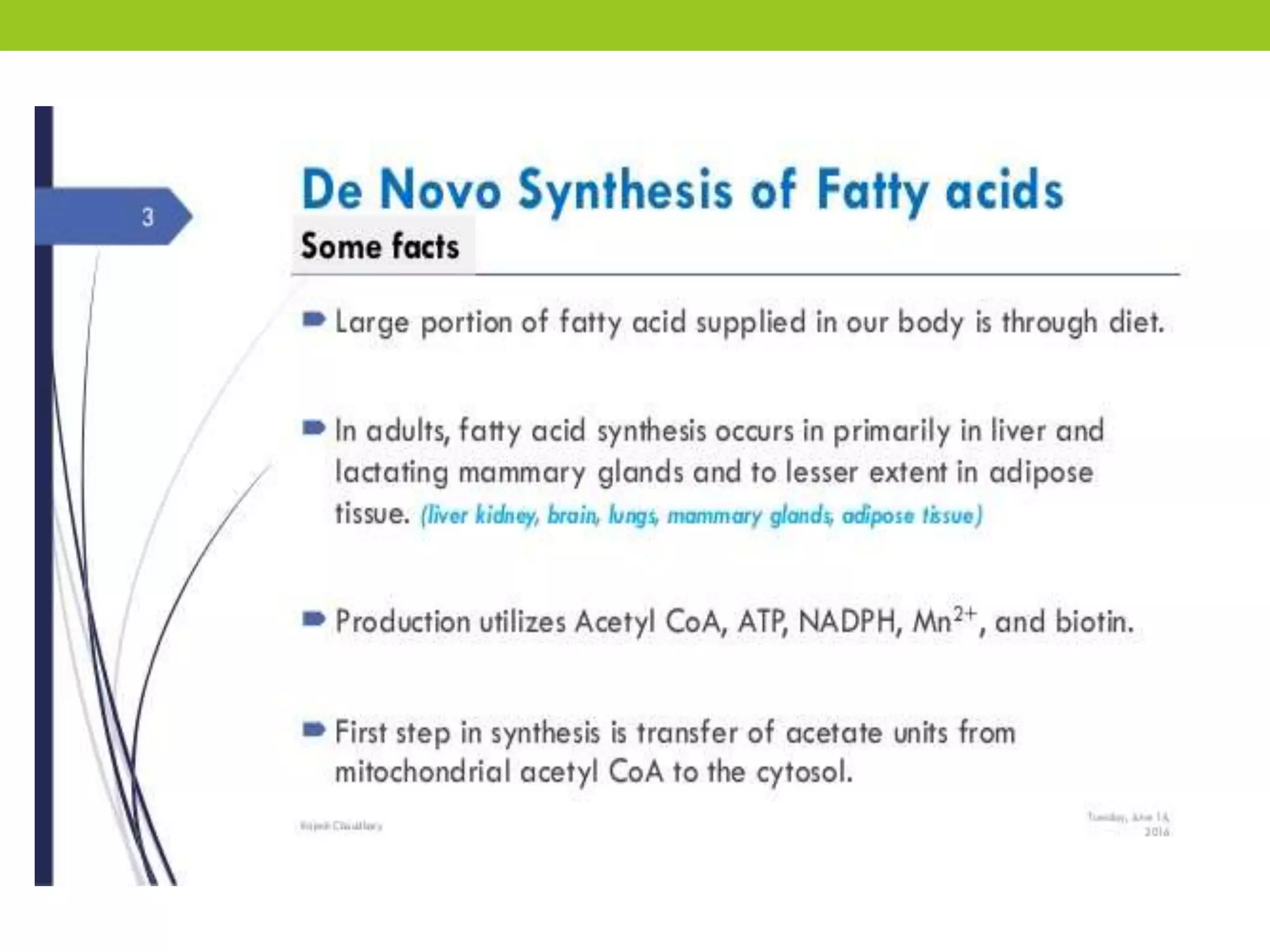 The de novo synthesis of fatty acid | PPTX