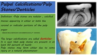 The dental pulp periradicular tissues 2.pdf