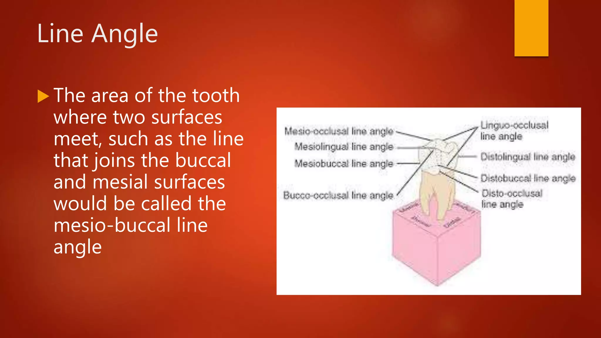 Line Angle
 The area of the tooth
where two surfaces
meet, such as the line
that joins the buccal
and mesial surfaces
would be called the
mesio-buccal line
angle
 