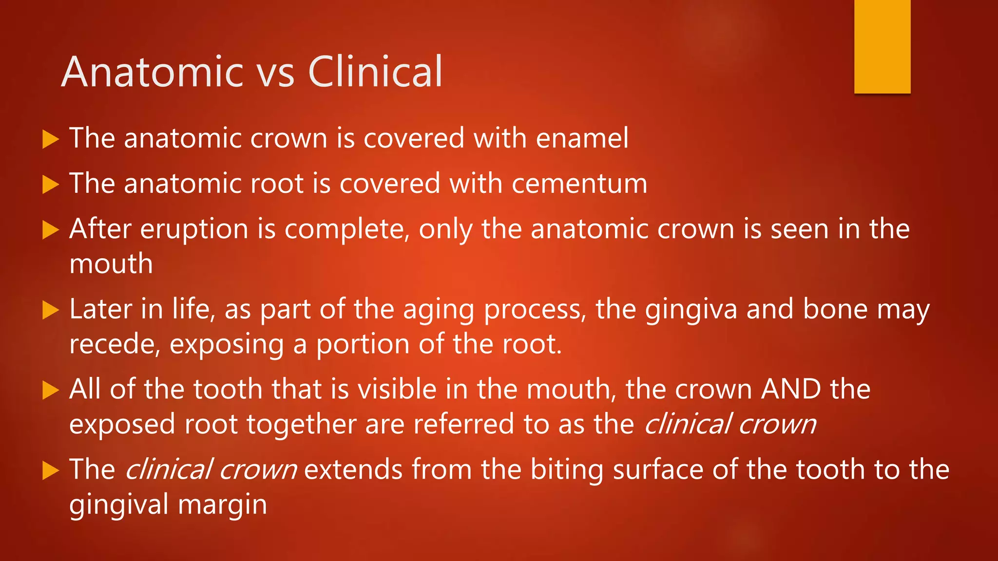 Anatomic vs Clinical
 The anatomic crown is covered with enamel
 The anatomic root is covered with cementum
 After eruption is complete, only the anatomic crown is seen in the
mouth
 Later in life, as part of the aging process, the gingiva and bone may
recede, exposing a portion of the root.
 All of the tooth that is visible in the mouth, the crown AND the
exposed root together are referred to as the clinical crown
 The clinical crown extends from the biting surface of the tooth to the
gingival margin
 