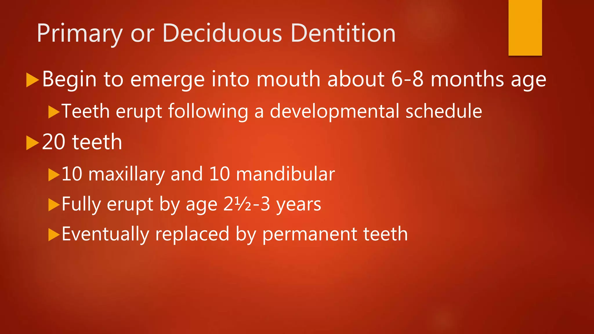 Primary or Deciduous Dentition
Begin to emerge into mouth about 6-8 months age
Teeth erupt following a developmental schedule
20 teeth
10 maxillary and 10 mandibular
Fully erupt by age 2½-3 years
Eventually replaced by permanent teeth
 