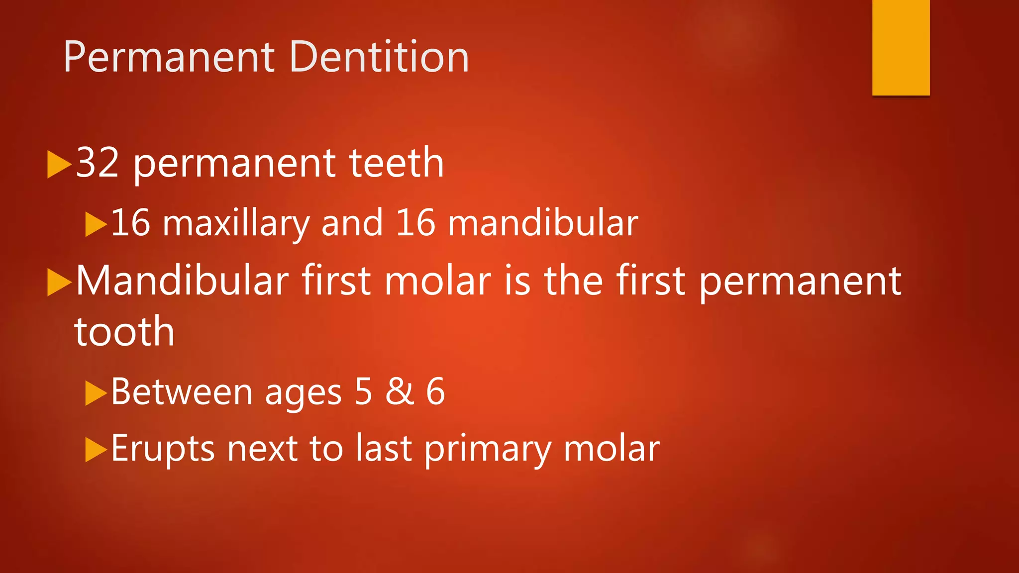 Permanent Dentition
32 permanent teeth
16 maxillary and 16 mandibular
Mandibular first molar is the first permanent
tooth
Between ages 5 & 6
Erupts next to last primary molar
 