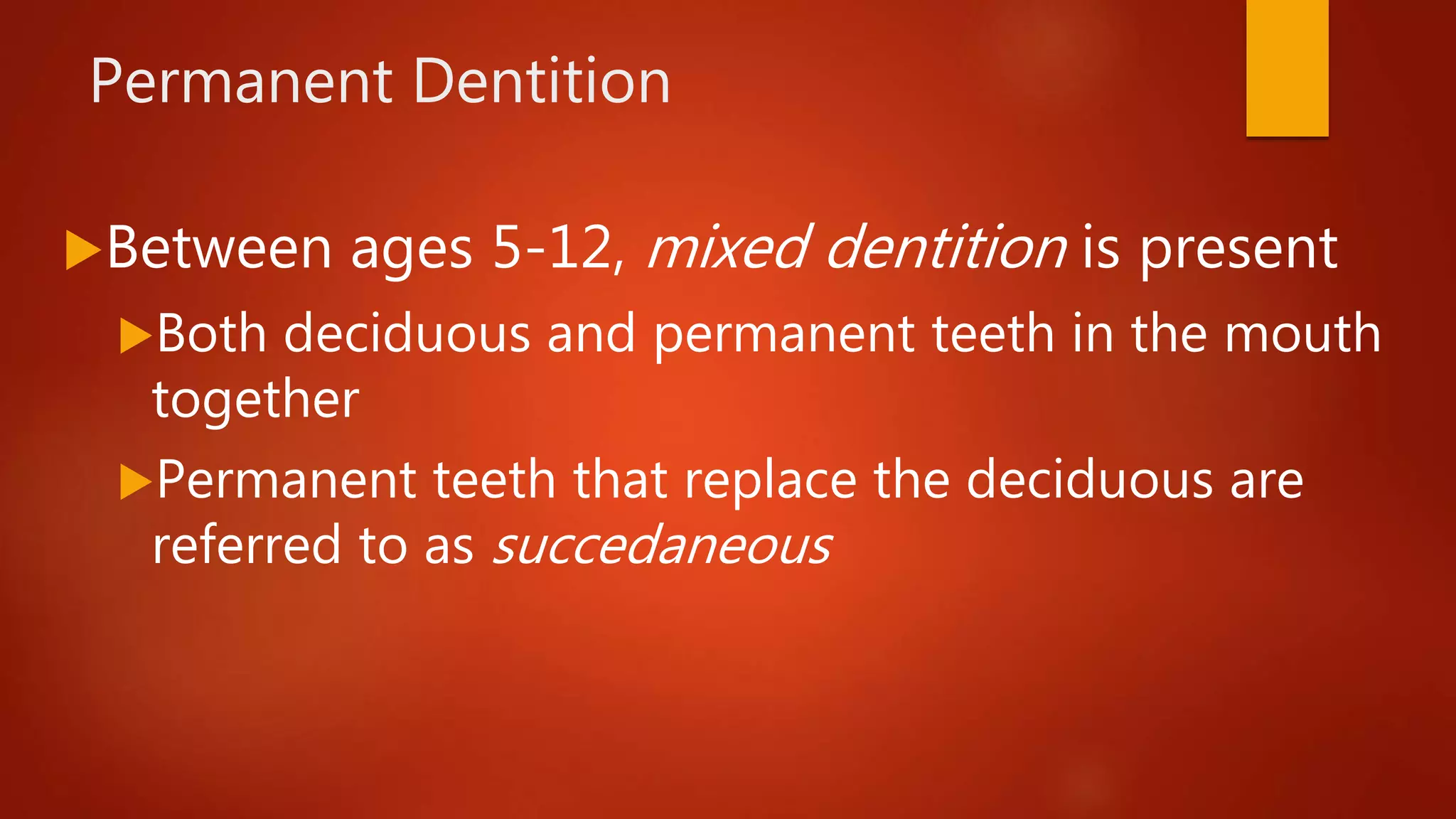 Permanent Dentition
Between ages 5-12, mixed dentition is present
Both deciduous and permanent teeth in the mouth
together
Permanent teeth that replace the deciduous are
referred to as succedaneous
 