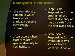 Divergent Evolution   the evolutionary pattern in which two species gradually become increasingly different.   often occurs when closely related species diversify to new habitats   Large Scale: Responsible for the creation of the current diversity of life on earth from the first living cells.   Small Scale: Responsible for the evolution of two species from a common  ancestor.   
