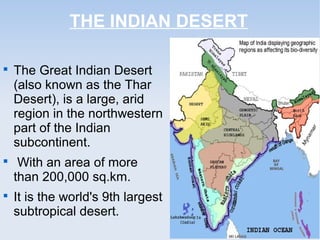 THE INDIAN DESERT

The Great Indian Desert
(also known as the Thar
Desert), is a large, arid
region in the northwestern
part of the Indian
subcontinent.

With an area of more
than 200,000 sq.km.

It is the world's 9th largest
subtropical desert.
 