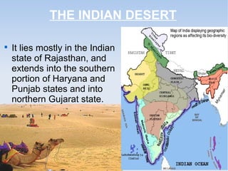 THE INDIAN DESERT

It lies mostly in the Indian
state of Rajasthan, and
extends into the southern
portion of Haryana and
Punjab states and into
northern Gujarat state.
 