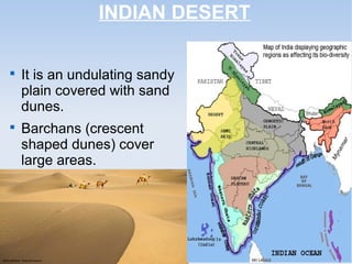 INDIAN DESERT

It is an undulating sandy
plain covered with sand
dunes.

Barchans (crescent
shaped dunes) cover
large areas.
 