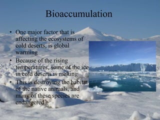 Bioaccumulation
• One major factor that is
affecting the ecosystems of
cold deserts, is global
warming
• Because of the rising
temperatures, some of the ice
in cold deserts is melting
• This is destroying the habitat
of the native animals, and
many of these species are
endangered

 