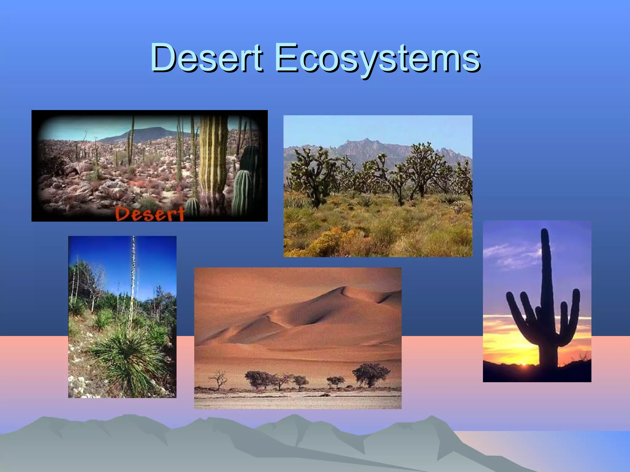 DDeesseerrtt EEccoossyysstteemmss 
 