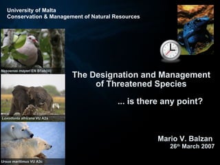 The Designation and Management of Threatened Species ... is there any point? Mario V. Balzan  26 th  March 2007 Nesoenas mayeri  EN B1ab(iii) Loxodonta africana  VU A2a  Ursus maritimus  VU A3c University of Malta Conservation & Management of Natural Resources 