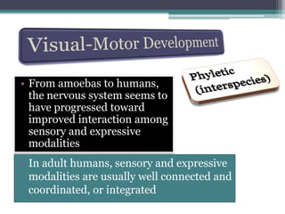 Vereeken reported that, to copy form with a pencil, a child must first be visually aware of the location and direction. 