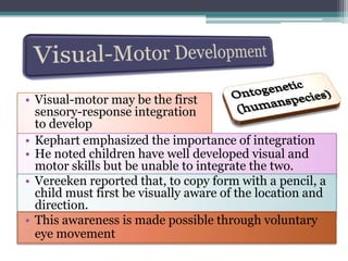 This awareness is made possible through voluntary eye movementChildren can scribble vertical, horizontal, and circular lines before being able to imitateScribbling requires little or no eye-hand coordination