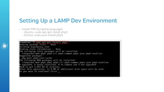 The development environment | PDF