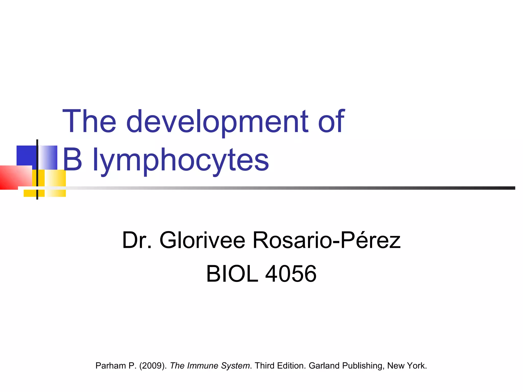 The development of
B lymphocytes

        Dr. Glorivee Rosario-Pérez
                 BIOL 4056


  Parham P. (2009). The Immune System. Third Edition. Garland Publishing, New York.
 