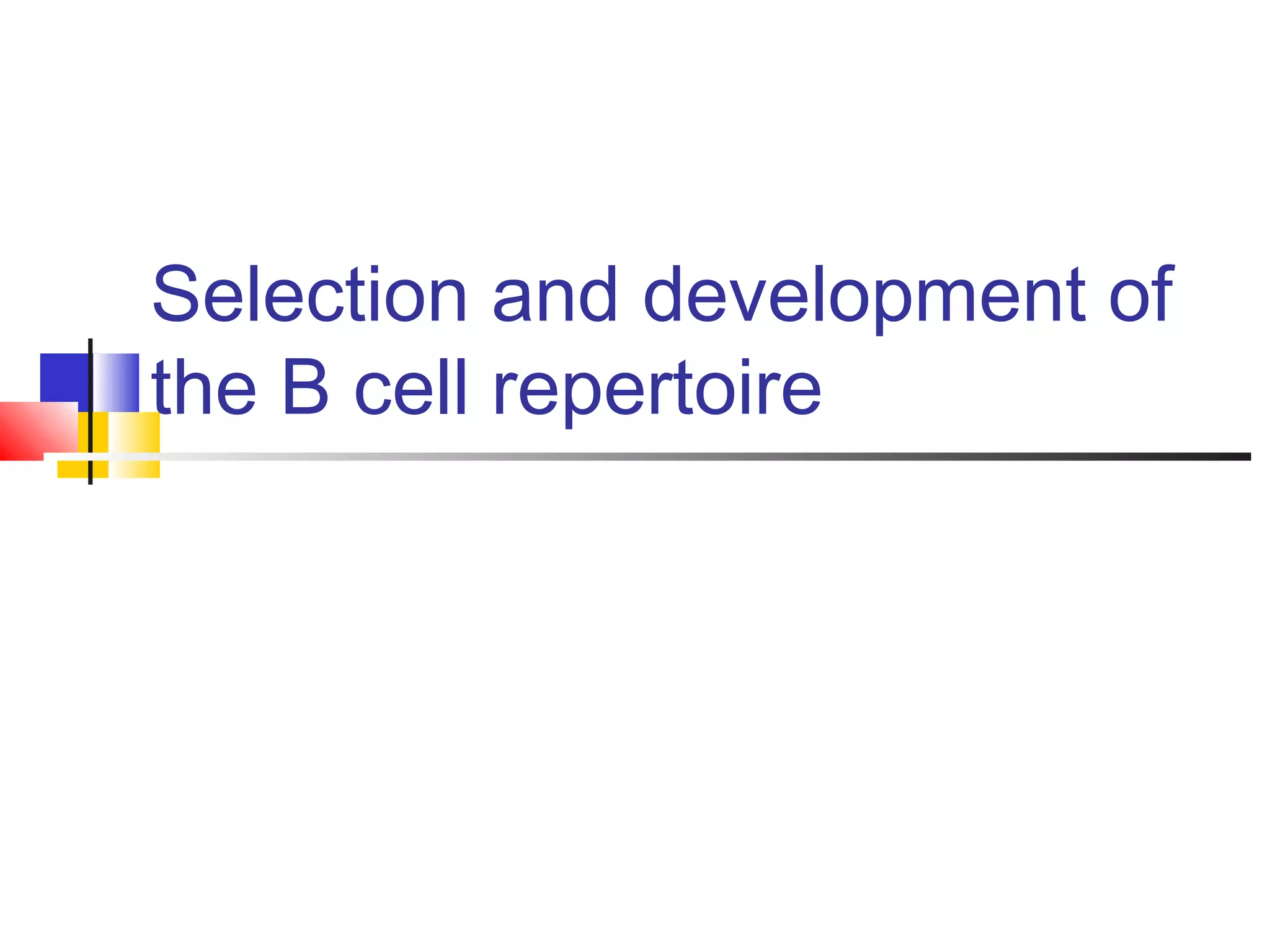 Selection and development of
the B cell repertoire
 