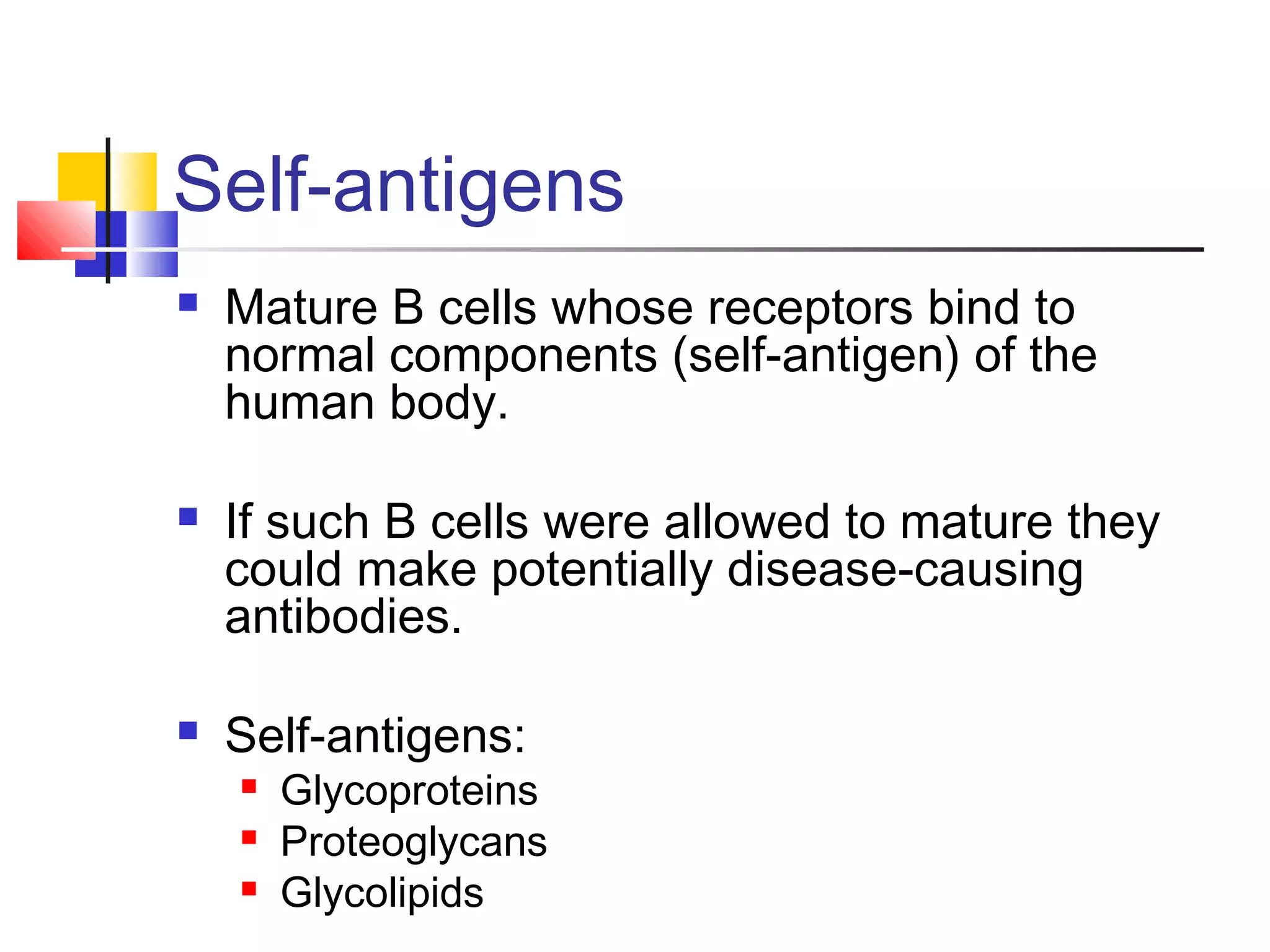 Self-antigens
   Mature B cells whose receptors bind to
    normal components (self-antigen) of the
    human body.

   If such B cells were allowed to mature they
    could make potentially disease-causing
    antibodies.

   Self-antigens:
       Glycoproteins
       Proteoglycans
       Glycolipids
 
