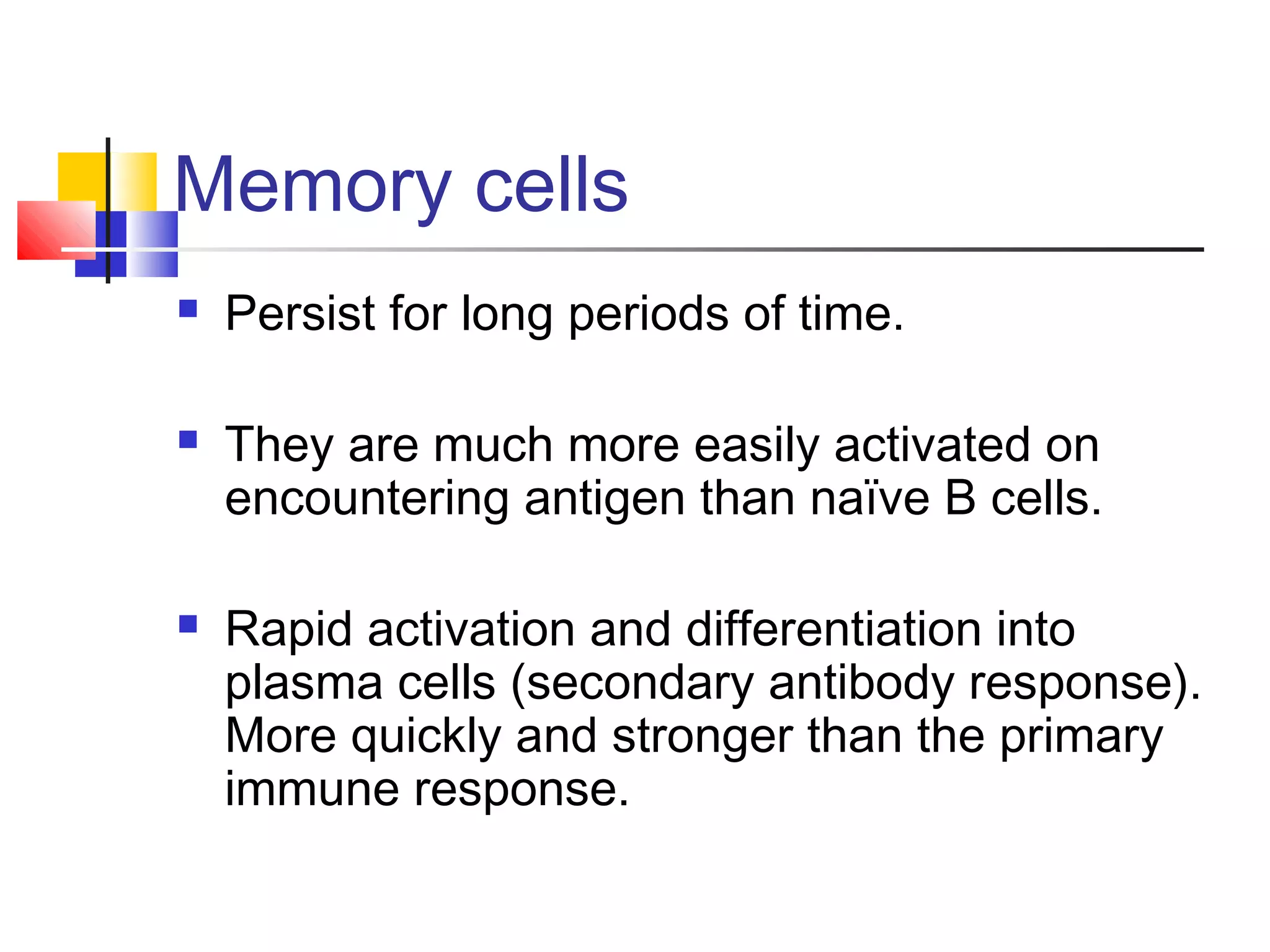 Memory cells
   Persist for long periods of time.

   They are much more easily activated on
    encountering antigen than naïve B cells.

   Rapid activation and differentiation into
    plasma cells (secondary antibody response).
    More quickly and stronger than the primary
    immune response.
 