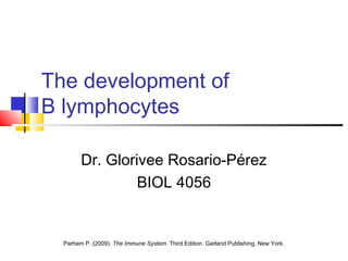 The development of
B lymphocytes

        Dr. Glorivee Rosario-Pérez
                 BIOL 4056


  Parham P. (2009). The Immune System. Third Edition. Garland Publishing, New York.
 
