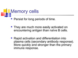 Memory cells
   Persist for long periods of time.

   They are much more easily activated on
    encountering antigen than naïve B cells.

   Rapid activation and differentiation into
    plasma cells (secondary antibody response).
    More quickly and stronger than the primary
    immune response.
 