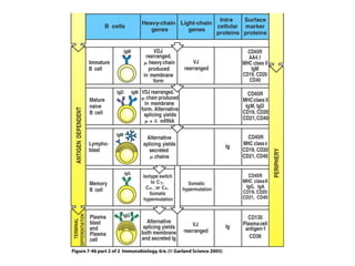Figure 7-46 part 2 of 2
 