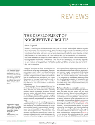 FO C U S O N PA I N




                                                                                                       REVIEWS

                                   THE DEVELOPMENT OF
                                   NOCICEPTIVE CIRCUITS
                                    Maria Fitzgerald
                                    Abstract | The study of pain development has come into its own. Reaping the rewards of years
                                    of developmental and molecular biology, it has now become possible to translate fundamental
                                    knowledge of signalling pathways and synaptic physiology into a better understanding of infant
                                    pain. Research has cast new light on the physiological and pharmacological processes that
                                    shape the newborn pain response, which will help us to understand early pain behaviour and
                                    to design better treatments. Furthermore, it has shown how developing pain circuitry depends
                                    on non-noxious sensory activity in the healthy newborn, and how early injury can permanently
                                    alter pain processing.

TYROSINE KINASE RECEPTORS          After years of neglect, the study of infant pain has         nociceptive reflexes, emphasizing recent research on
(Trk). Neurotrophic factors —      emerged as one of the most interesting and important         the postnatal developmental regulation of excitatory
nerve growth factor (NGF),         areas of pain research today. It provides a fascinating      and inhibitory synaptic transmission in the developing
neurotrophin 3 (NT3), NT4/5
                                   insight into how immature neurons connect together           dorsal horn. Finally, the role of sensory activity — from
and brain-derived neurotrophic
factor (BDNF) — act through a      to analyse and process somatic events, and illustrates       both non-noxious and excessive noxious inputs
family of receptor proteins, the   how the growing nervous system deals with events             — in influencing the development of pain processing
Trk receptors. TrkA is primarily   that threaten its postnatal integrity and survival. It       is reviewed and the implications for human infant pain
the receptor for NGF, TrkB for     also has the potential to provide us with a neurobio-        discussed. Ultimately, we argue that we need to use this
BDNF and NT4/5, and TrkC
for NT3.
                                   logical basis for pain assessment and treatment in           research to design better strategies for the relief of pain
                                   human infants.                                               in infants and children.
                                      Newborn infants show strong pain behaviour, but
                                   the study of the development of nociceptive pathways         Early specification of nociceptive neurons
                                   shows that their pain involves functional signalling         Nociceptive neurons are specified early in develop-
                                   pathways that are not found in the mature nervous            ment, long before they form contacts with their future
                                   system in healthy individuals. Recent research into          peripheral or central targets. Sensory sublineages are
                                   the development of inhibitory and excitatory synaptic        determined even before neural crest cells become
                                   transmission has provided new insights into the crucial      committed to neuronal or glial fates1. Different classes
                                   changes that shape pain pathways in the first postnatal      of sensory neurons in dorsal root ganglia (DRG) are
                                   weeks.                                                       generated in two waves: large-diameter TYROSINE KINASE
                                                                                                                                     +          +
                                      This review focuses on the underlying organization        RECEPTOR C- and B-expressing (TrkC and TrkB ) neu-
                                   and strengthening of nociceptive circuitry in the dorsal     rons are born first, followed by small-diameter TrkA+
Department of Anatomy
and Developmental Biology,         horn during the first postnatal weeks and on recent          neurons2,3. Recently, an even later wave of nociceptive
Wellcome Pain Consortium;          data that show how that circuitry might be altered by        neurons has been shown to arise from boundary cap
University College London,         sensory inputs in early life. It begins with the specifi-    cells, which are neural crest derivatives that migrate
Gower Street, London,              cation of nociceptive neurons — recent studies have          down the root from the dorsal root entry zone4. All
WC1E 6BT, UK.
e-mail:                            identified key molecular pathways that control the           these neurons require neurogenin 1 or 2 (NGN1/2)
m.fitzgerald@ucl.ac.uk             genesis of spinal nociceptive circuits. It then traces the   — two neuronal determination genes that encode
doi:10.1038/nrn1701                formation of functional synapses, neural circuits and        basic helix–loop–helix (bHLH) transcription factors


NATURE REVIEWS | NEUROSCIENCE                                                                                                VOLUME 6 | JULY 2005 | 507
                                                               © 2005 Nature Publishing Group
 