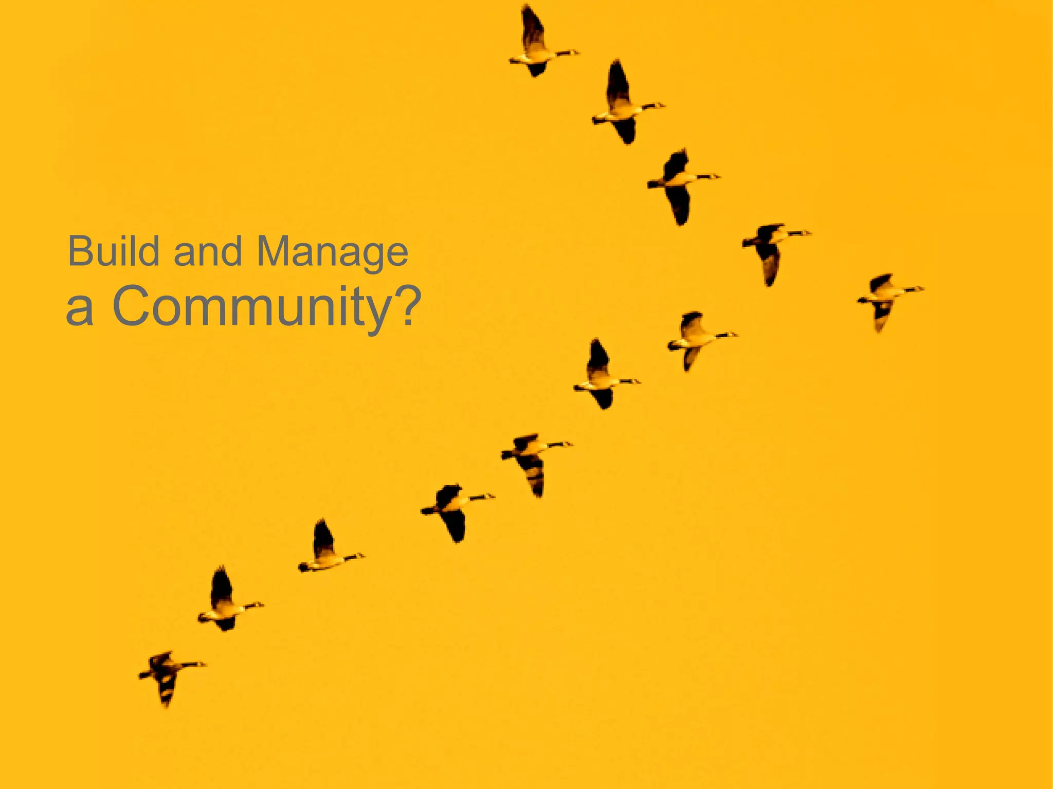 Build and Manage
a Community?




                   47
 