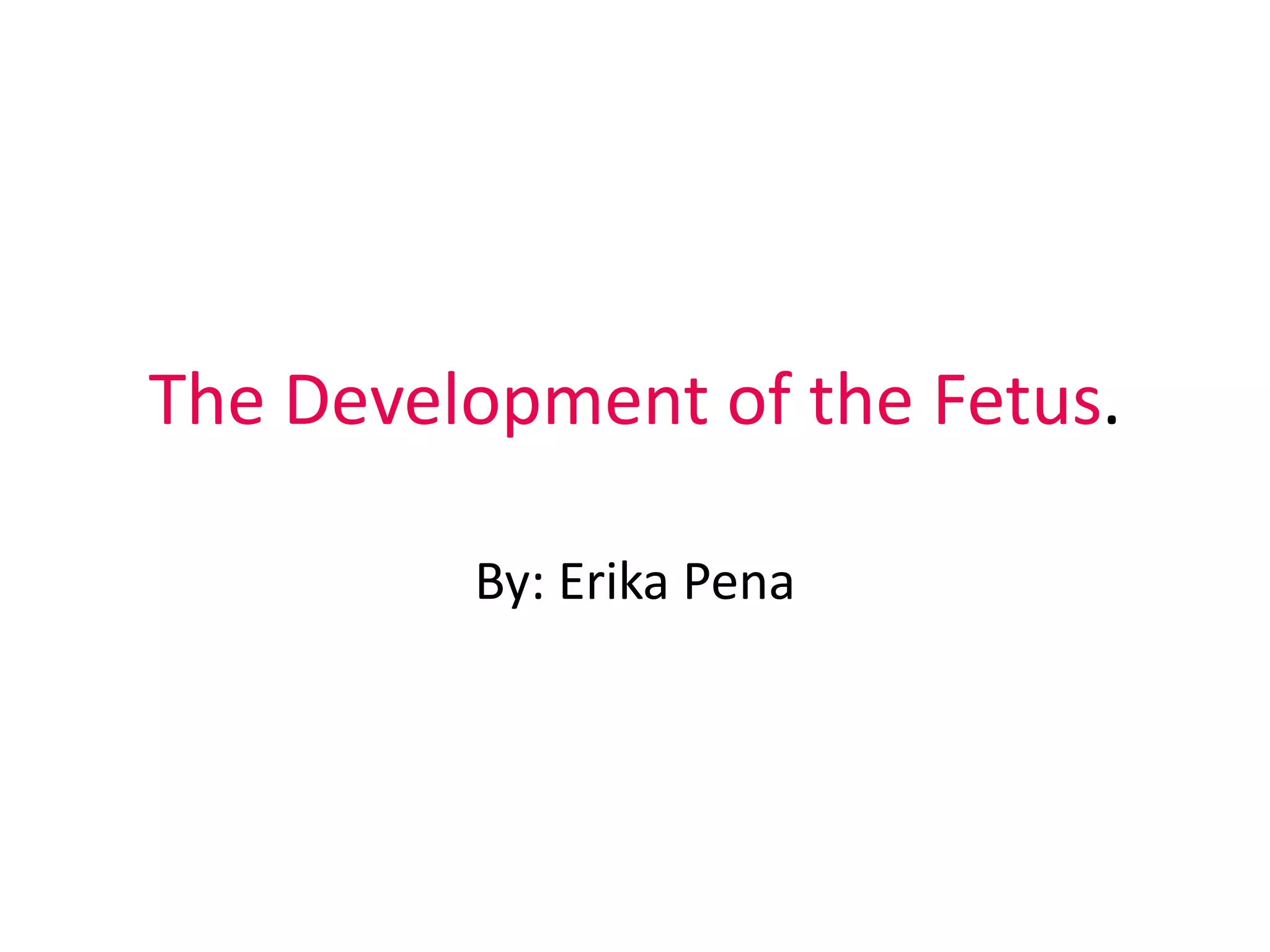 The Development of the Fetus.
By: Erika Pena