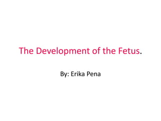 The Development of the Fetus.

         By: Erika Pena
 