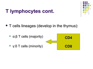 The development of t lymphocytes | PPT