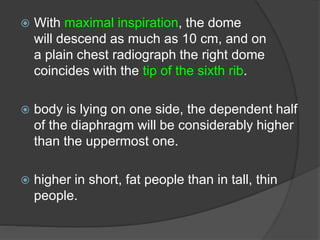  With maximal inspiration, the dome
will descend as much as 10 cm, and on
a plain chest radiograph the right dome
coincides with the tip of the sixth rib.
 body is lying on one side, the dependent half
of the diaphragm will be considerably higher
than the uppermost one.
 higher in short, fat people than in tall, thin
people.
 