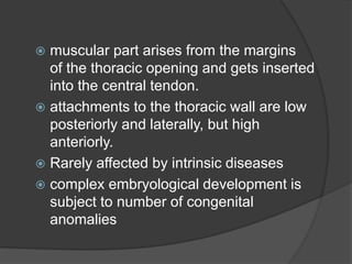  muscular part arises from the margins
of the thoracic opening and gets inserted
into the central tendon.
 attachments to the thoracic wall are low
posteriorly and laterally, but high
anteriorly.
 Rarely affected by intrinsic diseases
 complex embryological development is
subject to number of congenital
anomalies
 