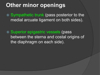 Other minor openings
 Sympathetic trunk (pass posterior to the
medial arcuate ligament on both sides).
 Superior epigastric vessels (pass
between the sterna and costal origins of
the diaphragm on each side).
 