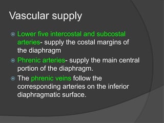 Vascular supply
 Lower five intercostal and subcostal
arteries- supply the costal margins of
the diaphragm
 Phrenic arteries- supply the main central
portion of the diaphragm.
 The phrenic veins follow the
corresponding arteries on the inferior
diaphragmatic surface.
 