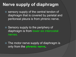 Nerve supply of diaphragm
 sensory supply of the central tendon of
diaphragm that is covered by parietal and
peritoneal pleura is from phrenic nerve.
 Sensory supply to the periphery of
diaphragm is from lower six intercostal
nerves.
 The motor nerve supply of diaphragm is
only from the phrenic nerve.
 