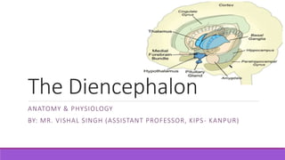 The Diencephalon
ANATOMY & PHYSIOLOGY
BY: MR. VISHAL SINGH (ASSISTANT PROFESSOR, KIPS- KANPUR)
 