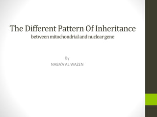 The Different Pattern Of Inheritance
betweenmitochondrialandnucleargene
By
NABA’A AL WAZEN
 