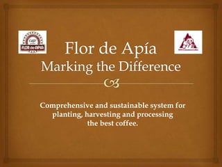 Comprehensive and sustainable system for
  planting, harvesting and processing
             the best coffee.
 