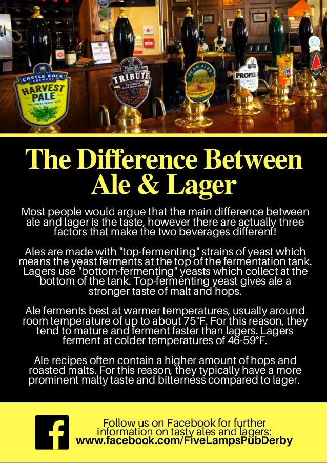 The Difference Between Ales & Lagers
