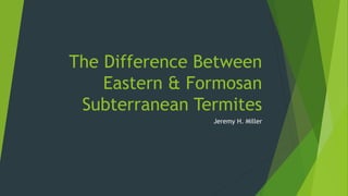 The Difference Between
Eastern & Formosan
Subterranean Termites
Jeremy H. Miller
 