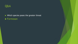 The difference between eastern &amp; formosan subterranean termites | PPT
