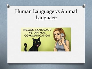 Human Language vs Animal
Language
 