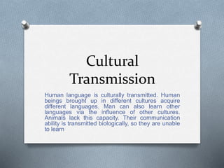 Cultural
Transmission
Human language is culturally transmitted. Human
beings brought up in different cultures acquire
different languages. Man can also learn other
languages via the influence of other cultures.
Animals lack this capacity. Their communication
ability is transmitted biologically, so they are unable
to learn
 