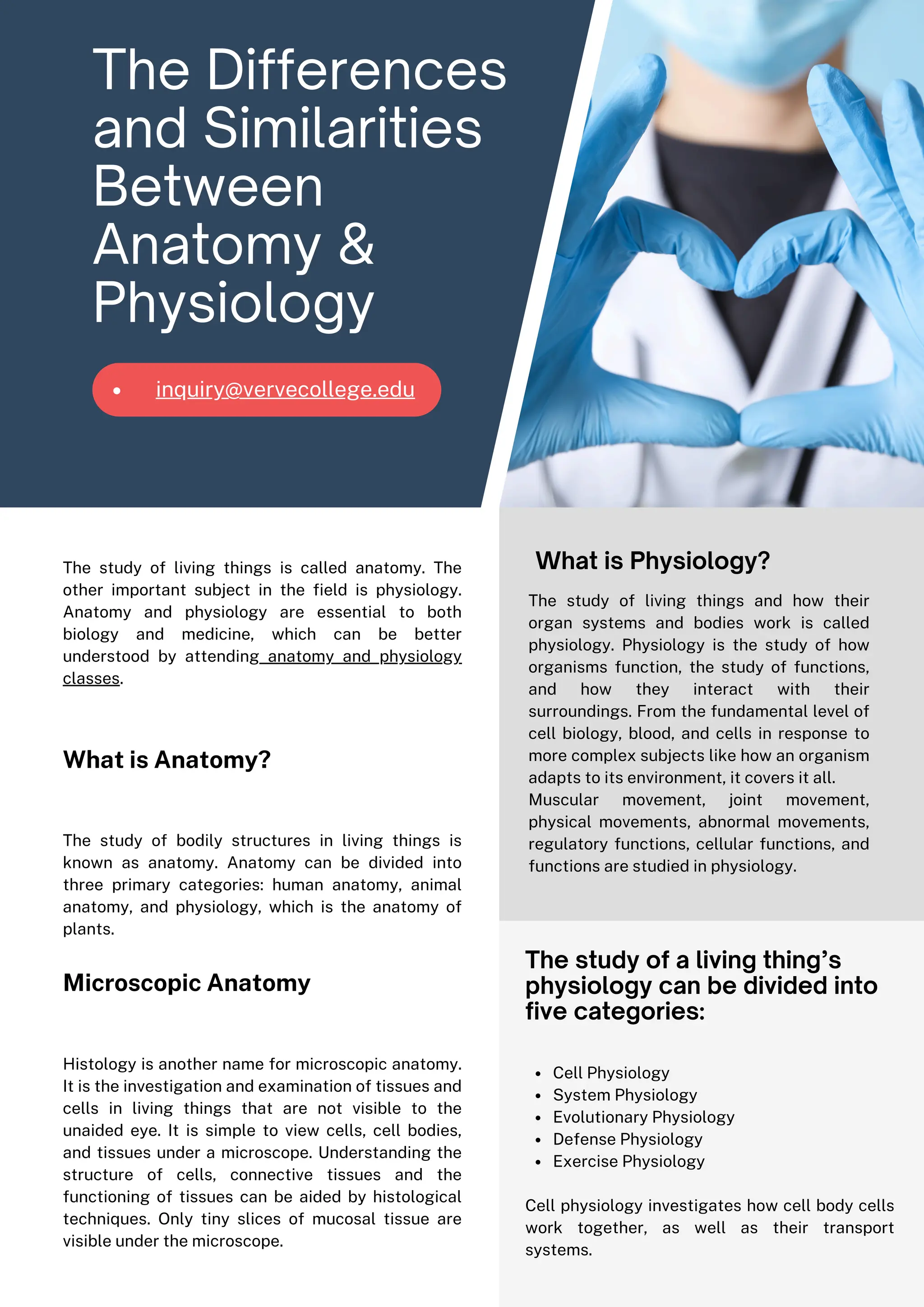 The Surprising Connection Between Anatomy And Physiology - 8aqlluz