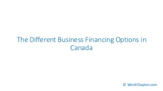 The Different Business Financing Options in
Canada
© WordChapter.com
 