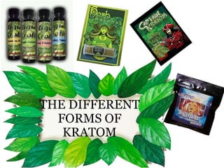 THE DIFFERENT
FORMS OF
KRATOM
 