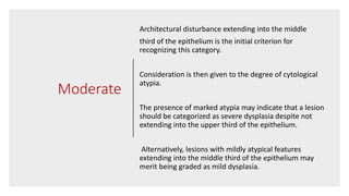 The different grading schemes for oral epithelial dysplasia (Doctor ...